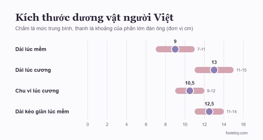 Biểu đồ kích thước dương vật trung bình người Việt: dài lúc mềm khoảng 9cm, lúc cương khoảng 13cm, chu vi khoảng 10-11cm
