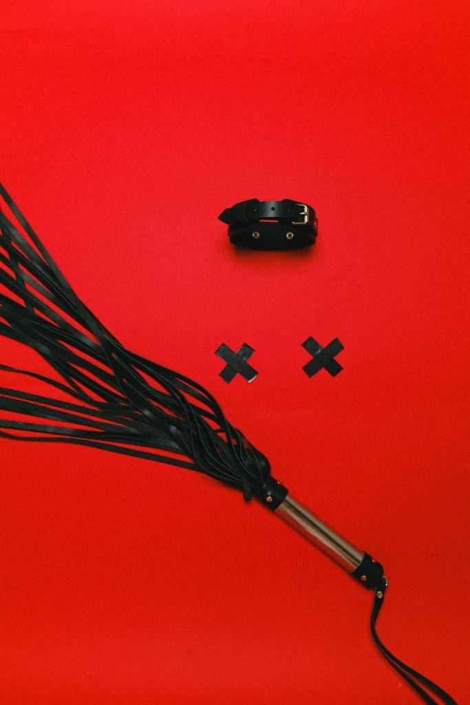 Vòng cổ da và roi tua trong bộ dụng cụ BDSM
